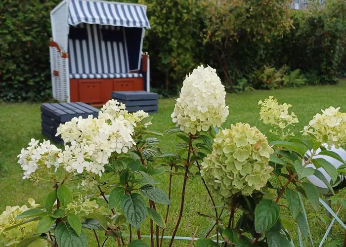Апартаменты Zatoka Владыславово