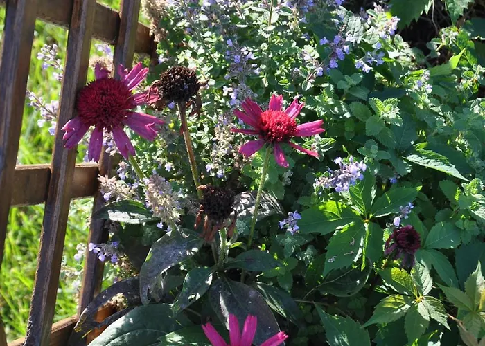 Апартаменты Zatoka Владыславово